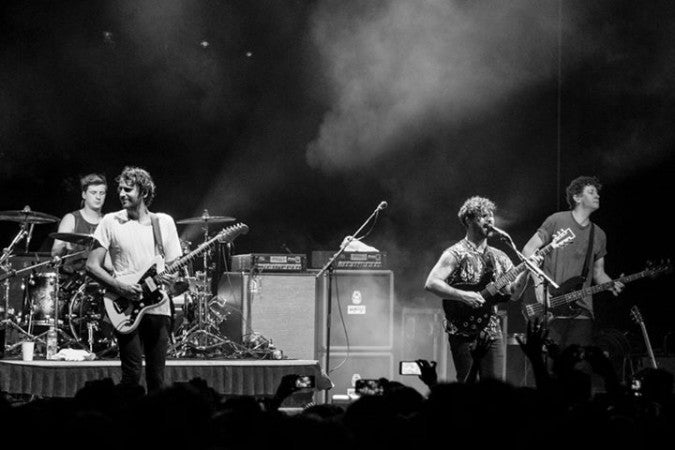 Foals