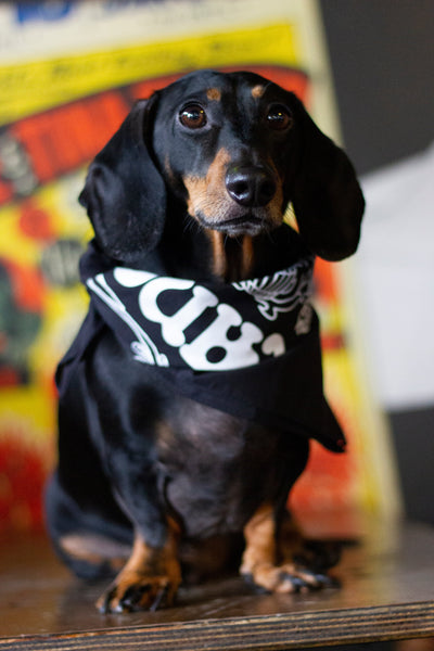 Bandana