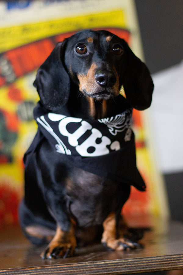 Bandana
