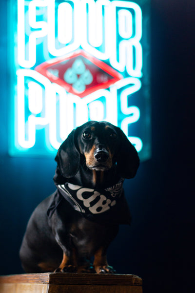 Bandana