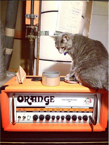 "The problem is cat hair, kitty litter, fur balls, and also your cat hexed your amp because cats are evil." CatsOnAmps.net is a real website, btw.