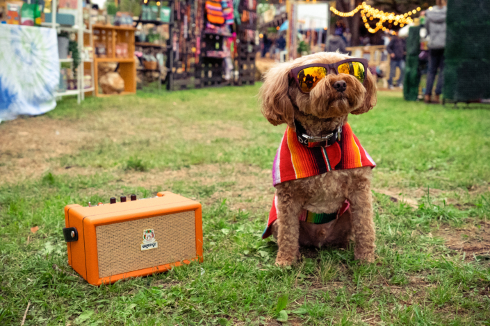 BOX – SXSW – Lifestyle Photos – D3